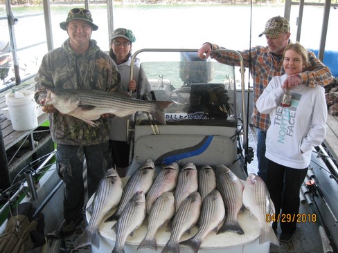 Nice Striped Bass
